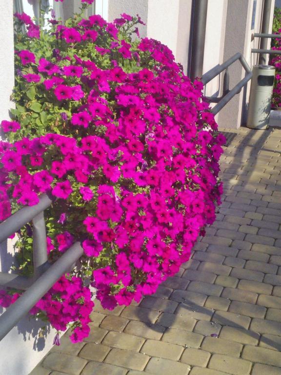 Pokoje Hotelowe Wiktoria Goczalkowice Zdroj Bagian luar foto